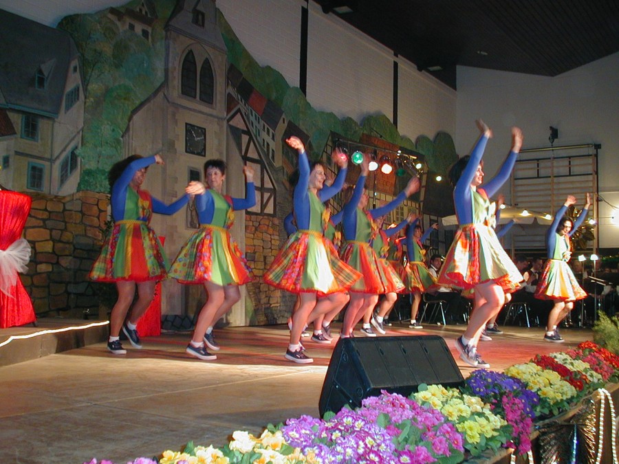 Foto Prunksitzung 2004