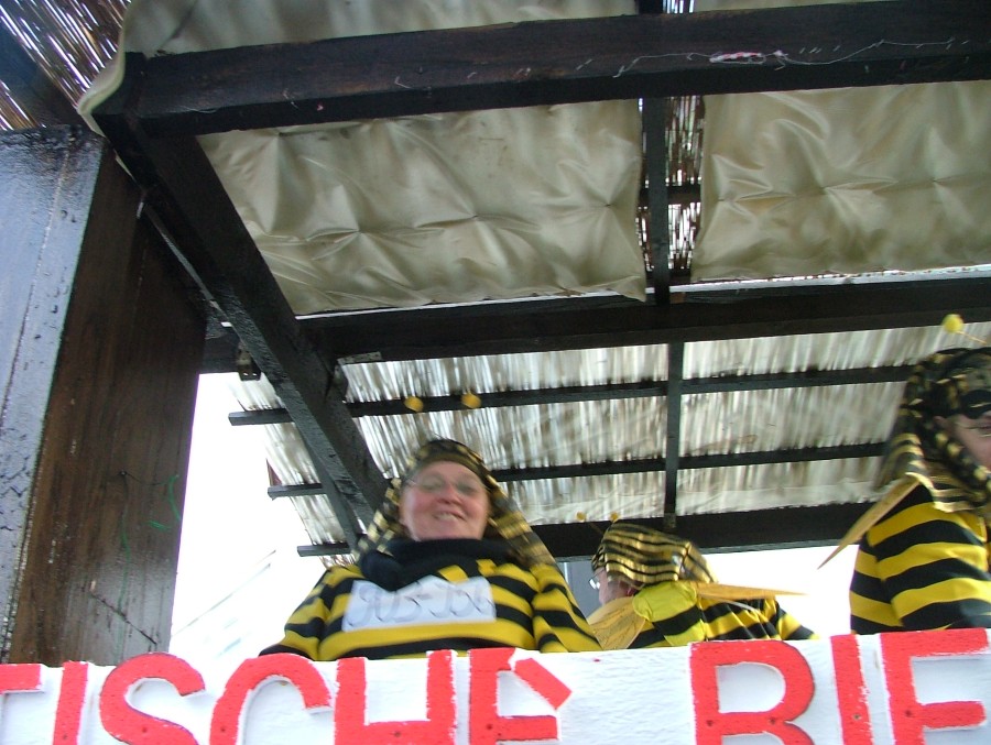 Foto Karnevalszug 2008