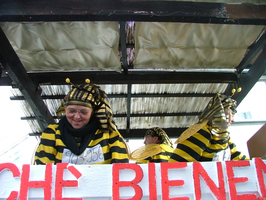 Foto Karnevalszug 2008