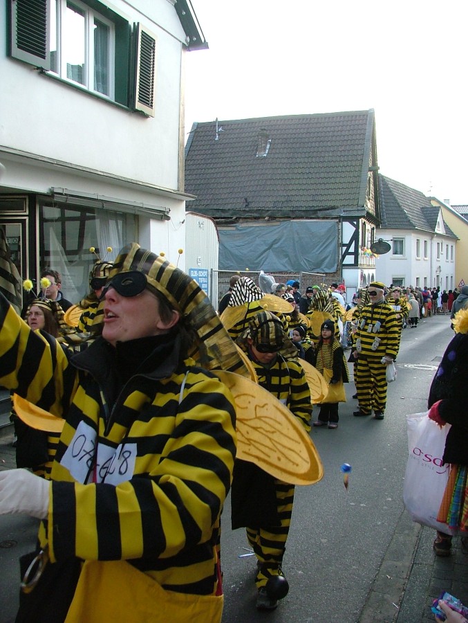 Foto Karnevalszug 2008