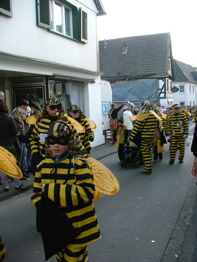 Foto Karnevalszug 2008