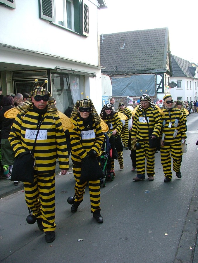 Foto Karnevalszug 2008
