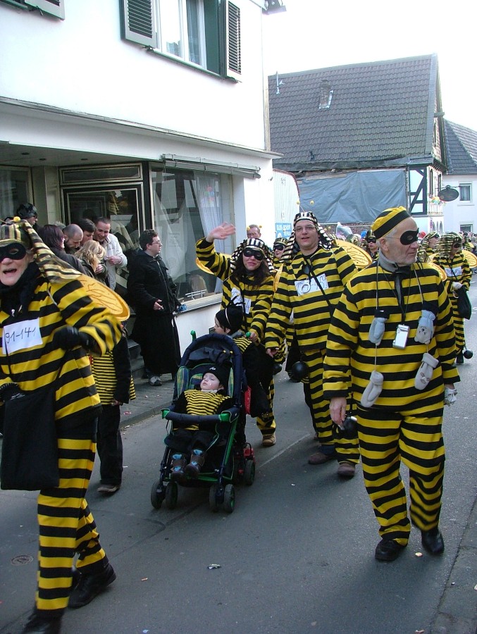 Foto Karnevalszug 2008