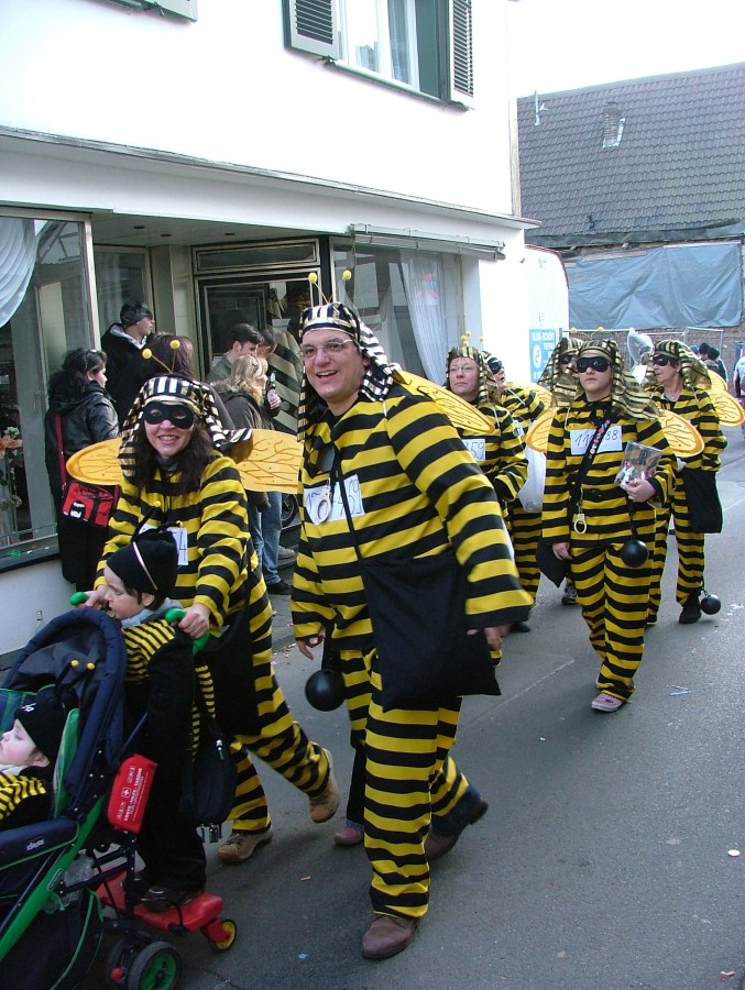 Foto Karnevalszug 2008