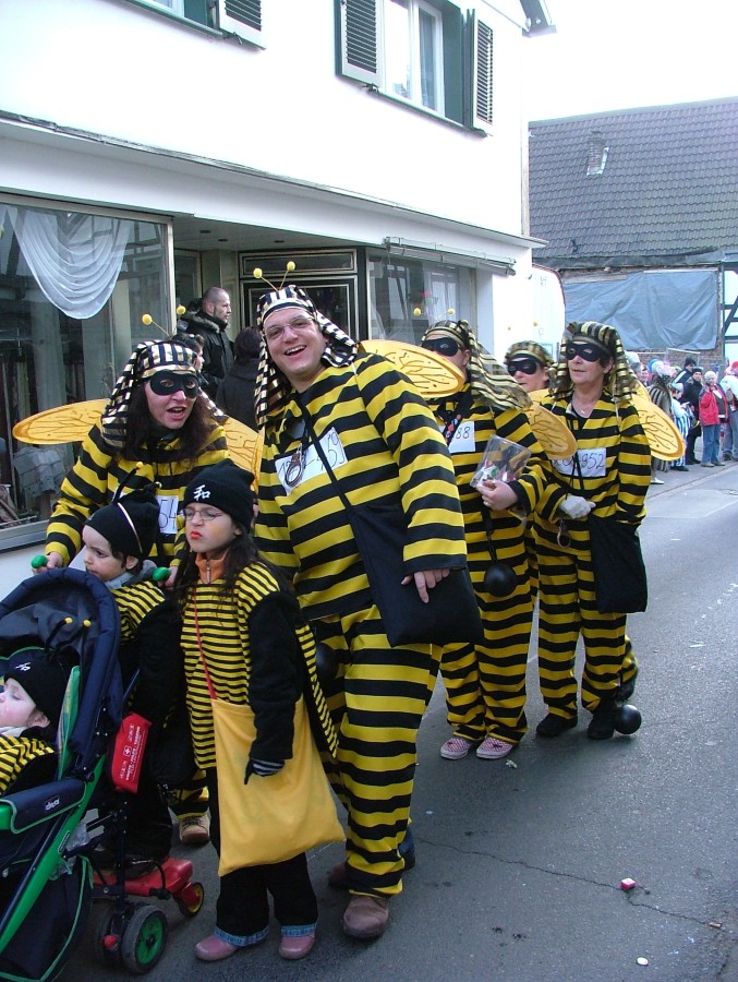 Foto Karnevalszug 2008