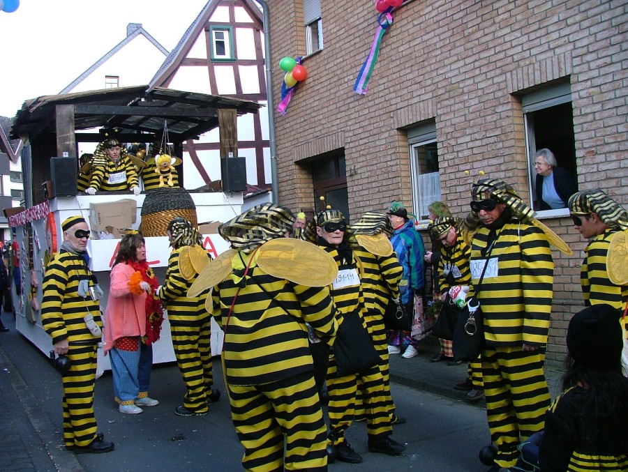 Foto Karnevalszug 2008