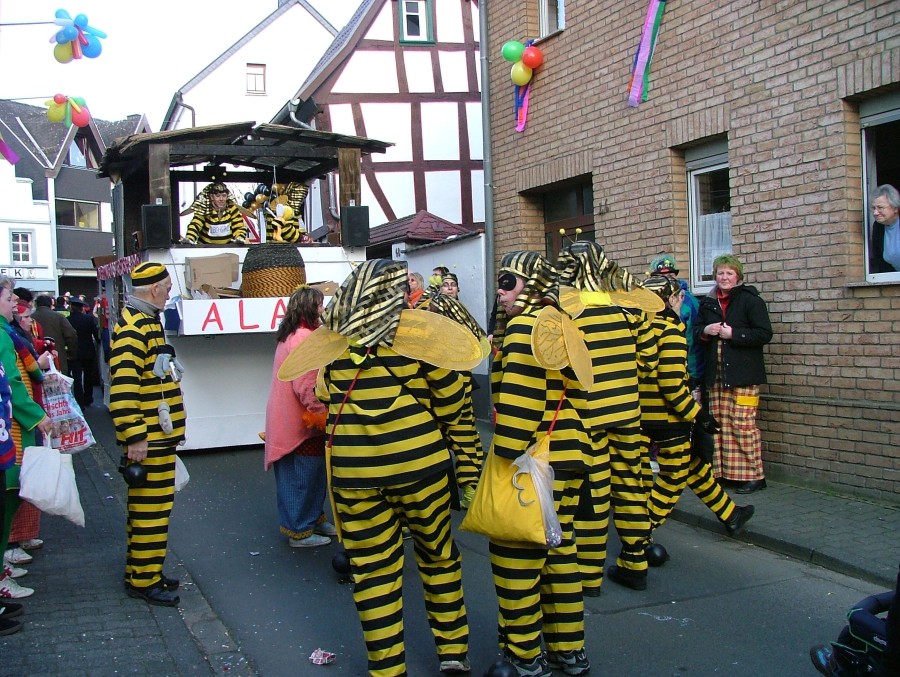 Foto Karnevalszug 2008