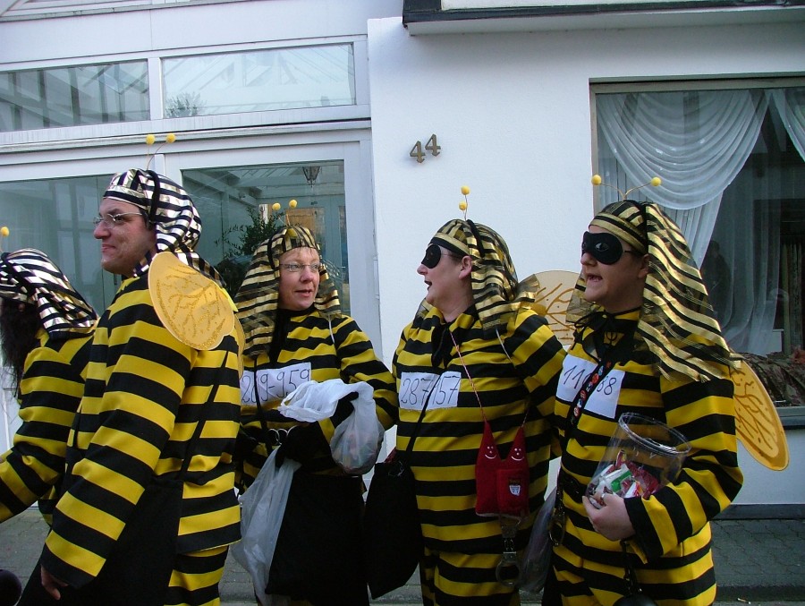 Foto Karnevalszug 2008