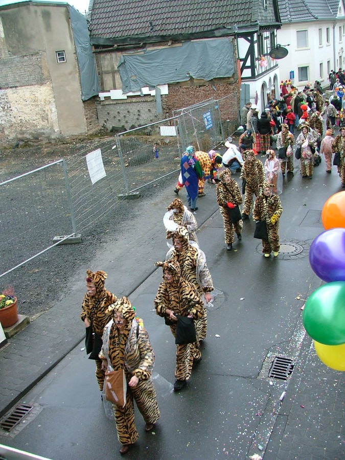 Foto Karnevalszug 2009