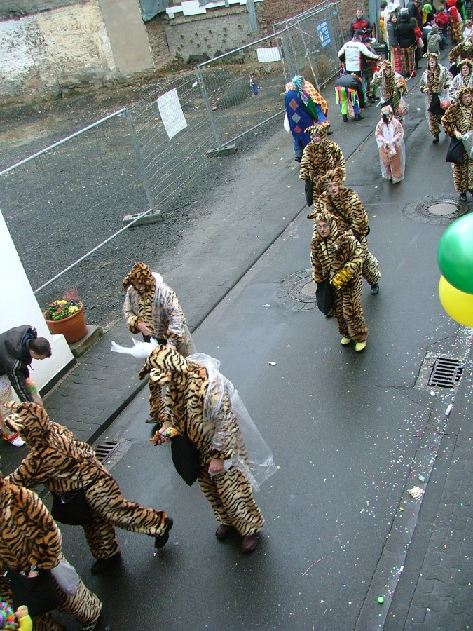 Foto Karnevalszug 2009