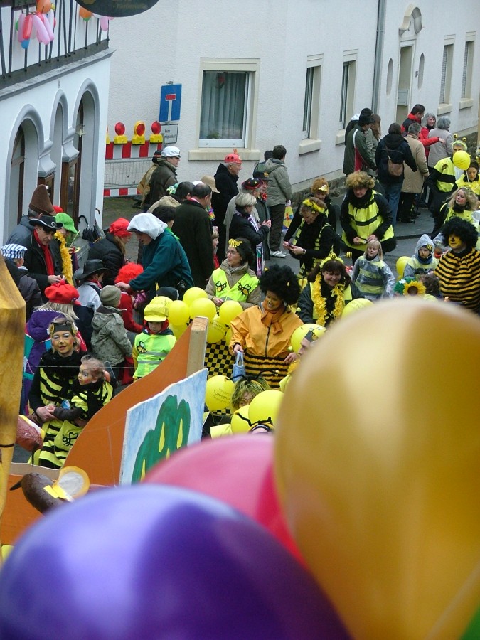 Foto Karnevalszug 2009