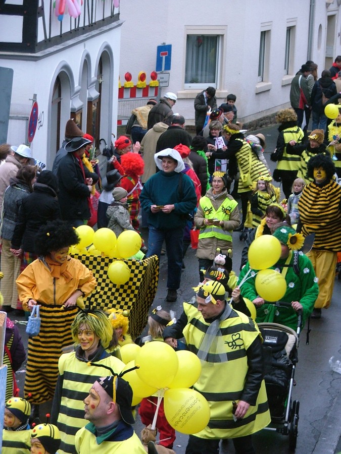 Foto Karnevalszug 2009