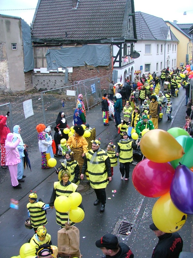 Foto Karnevalszug 2009