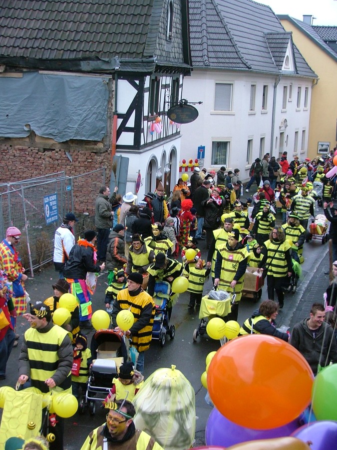 Foto Karnevalszug 2009