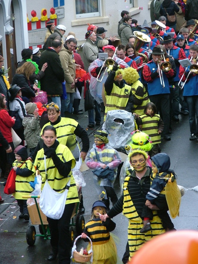 Foto Karnevalszug 2009
