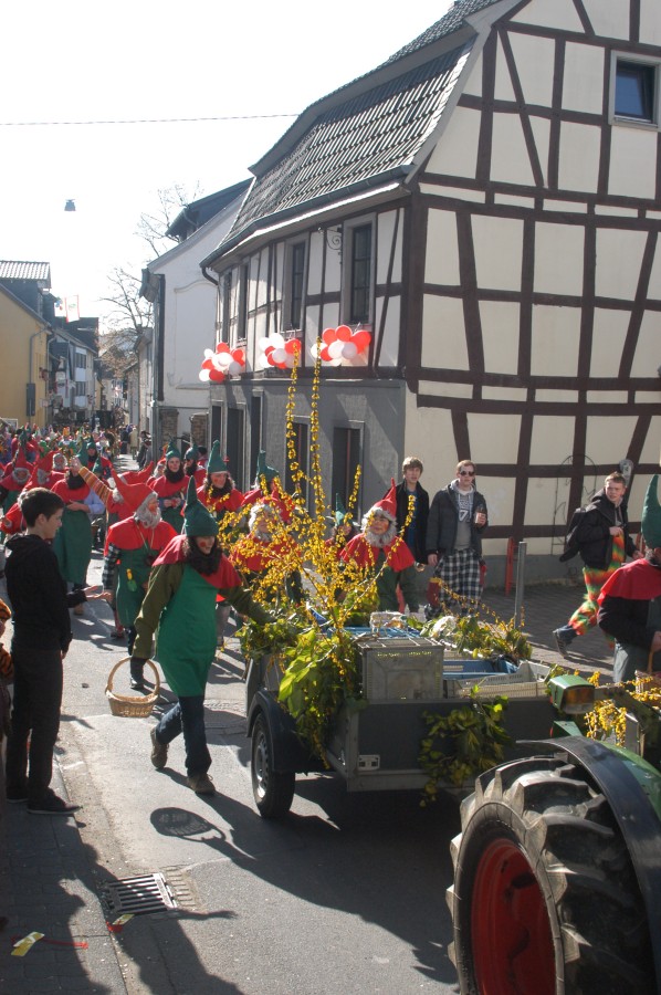 Foto Karnevalszug 2011