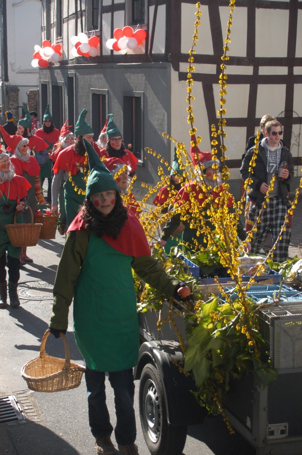 Foto Karnevalszug 2011