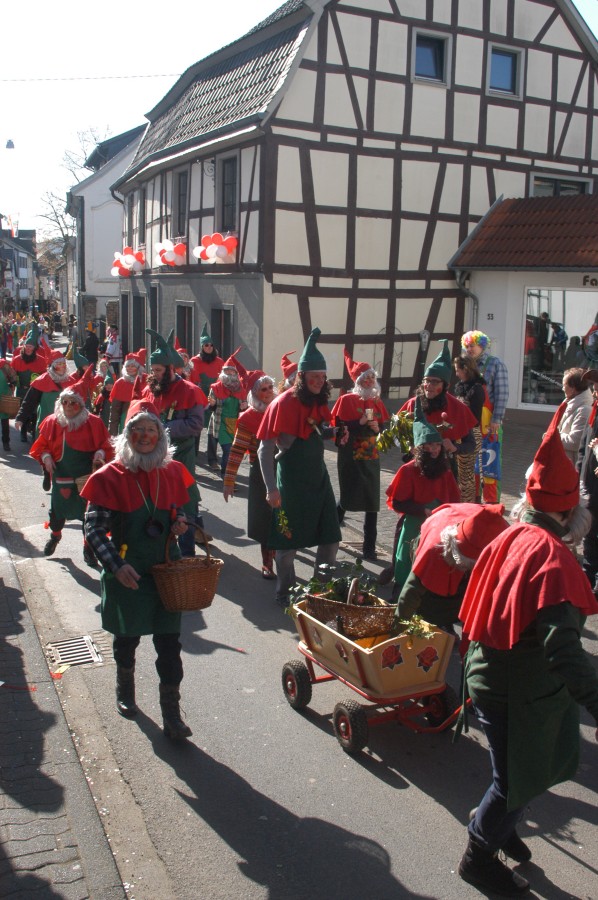 Foto Karnevalszug 2011