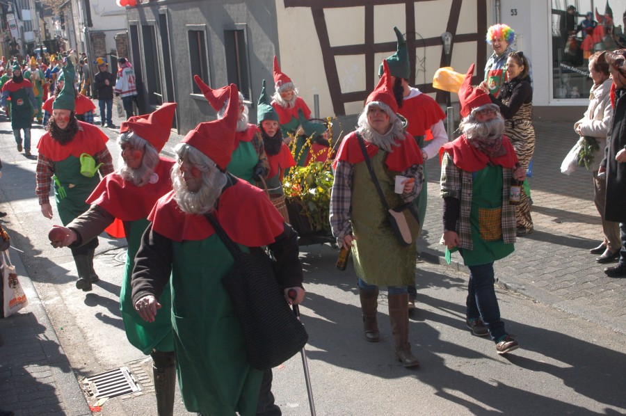 Foto Karnevalszug 2011