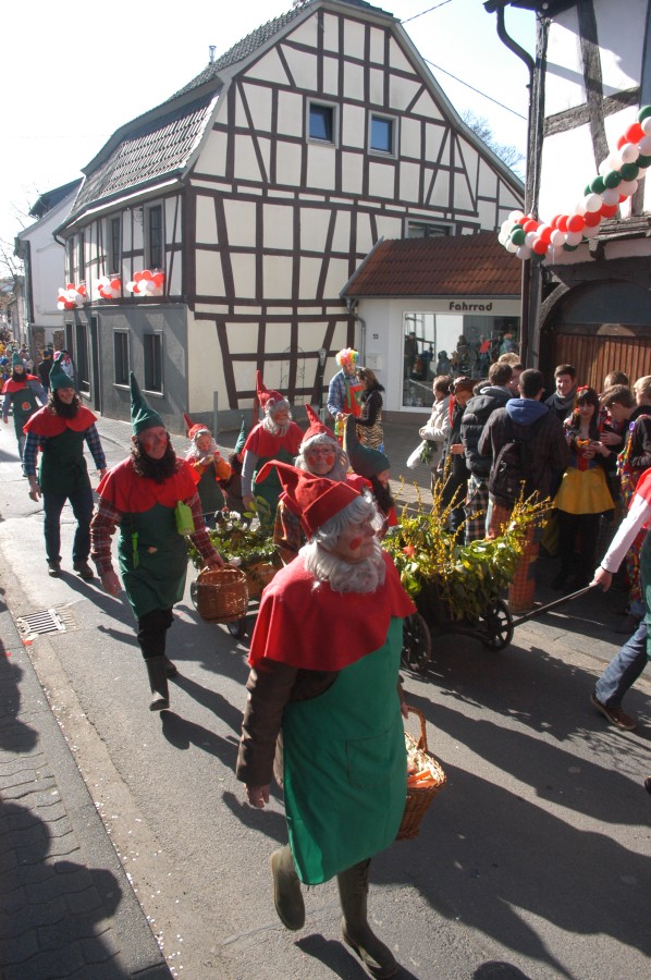 Foto Karnevalszug 2011