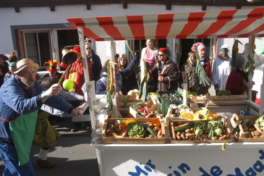 Foto Karnevalszug 2011