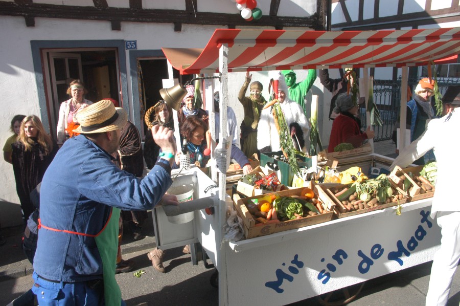 Foto Karnevalszug 2011