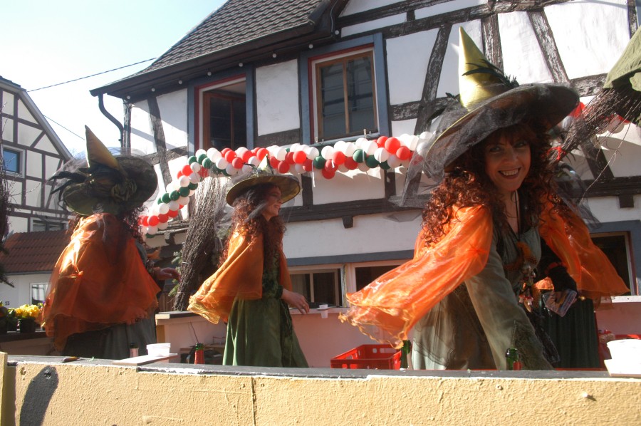 Foto Karnevalszug 2011
