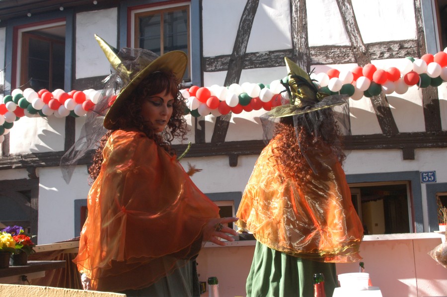 Foto Karnevalszug 2011