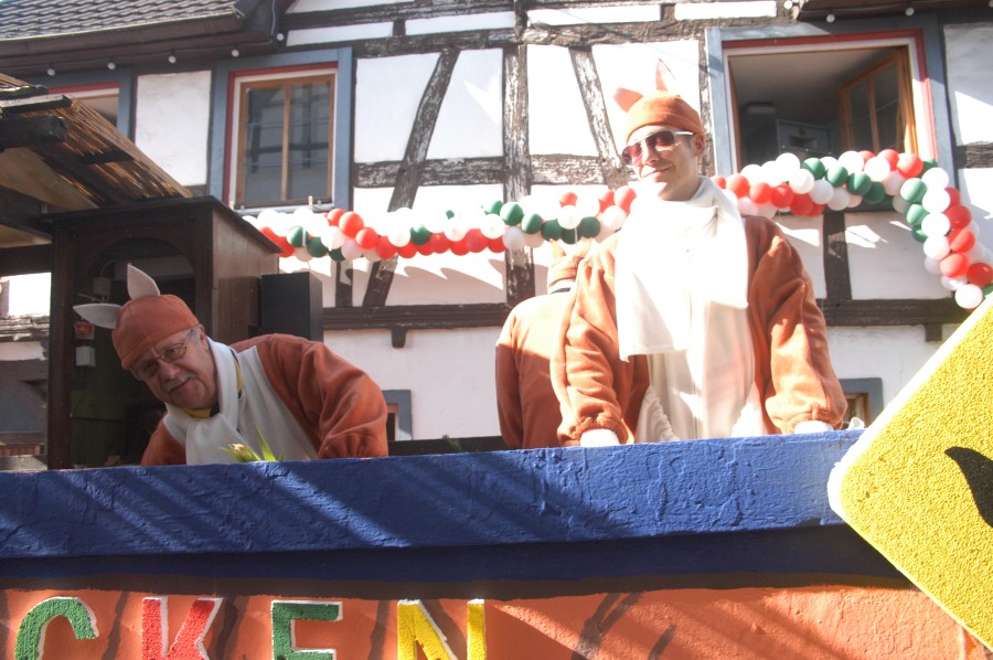 Foto Karnevalszug 2011