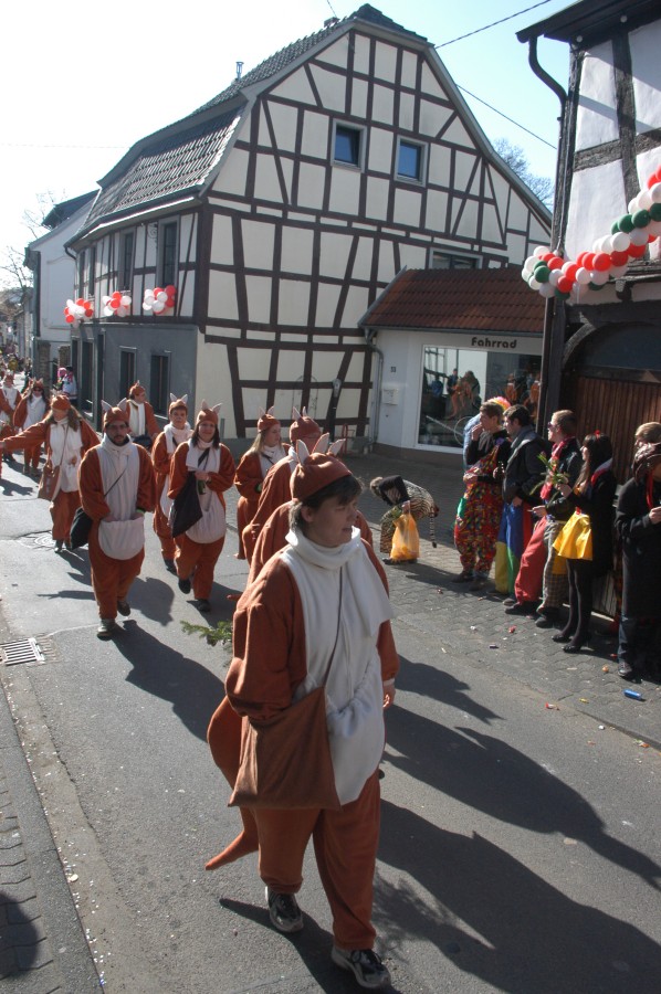 Foto Karnevalszug 2011