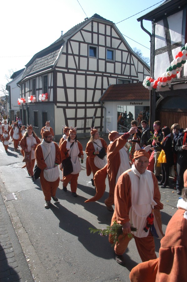 Foto Karnevalszug 2011
