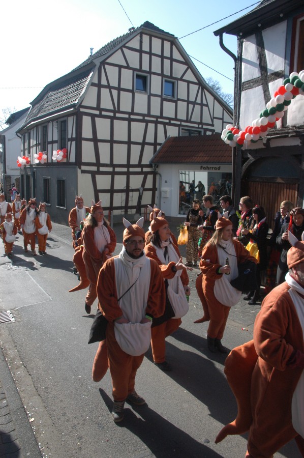 Foto Karnevalszug 2011