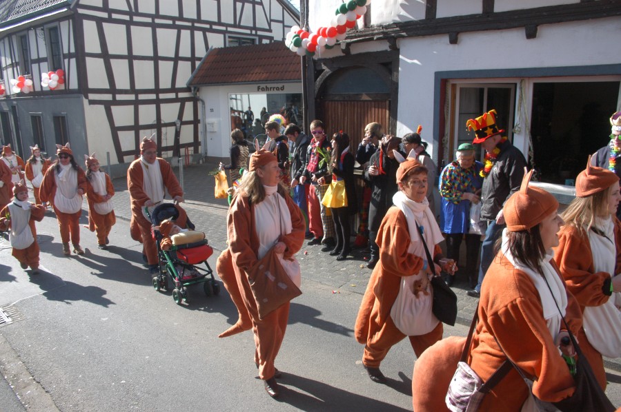 Foto Karnevalszug 2011