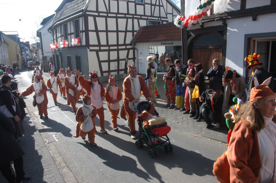 Foto Karnevalszug 2011