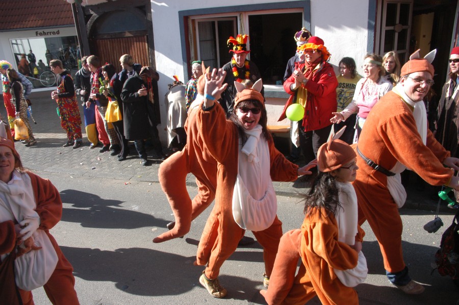 Foto Karnevalszug 2011