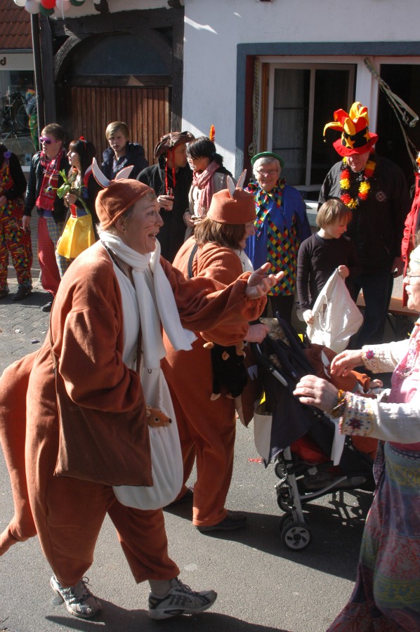 Foto Karnevalszug 2011
