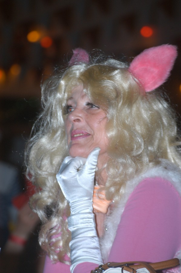 Foto Koppelparty 2012