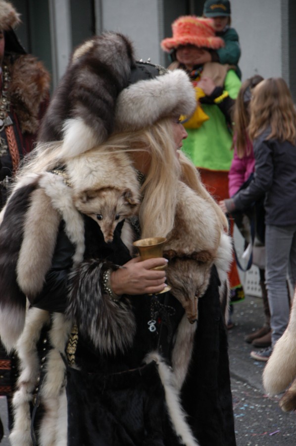 Foto Karnevalszug 2012