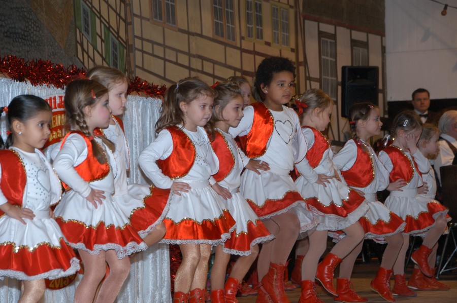 Foto Seniorenkarneval 2013