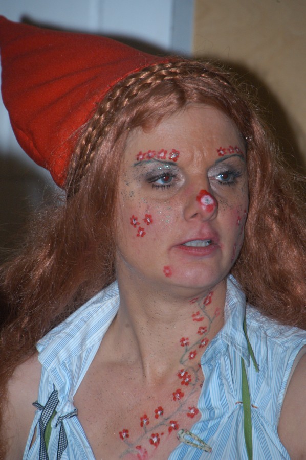 Foto Kost�mball 2013