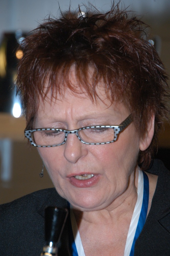 Foto Kost�mball 2013