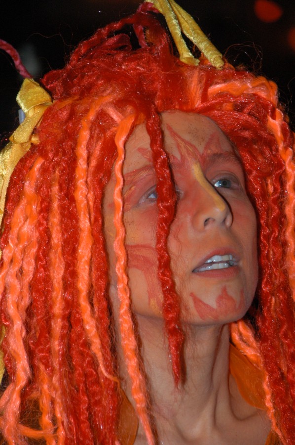 Foto Kost�mball 2013