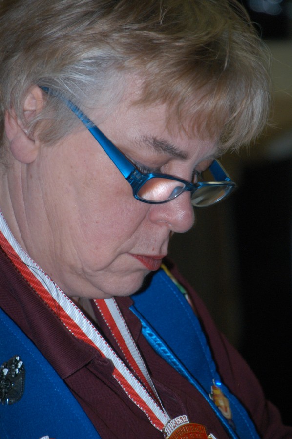 Foto Kost�mball 2013