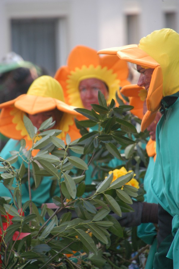Foto Karnevalszug 2013