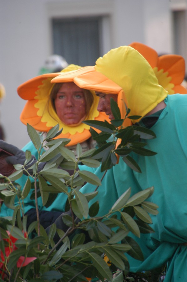 Foto Karnevalszug 2013