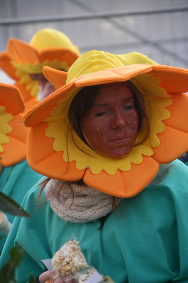 Foto Karnevalszug 2013