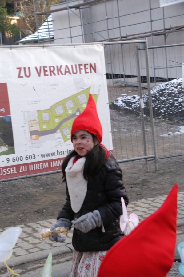 Foto Karnevalszug 2013