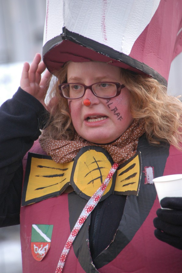 Foto Karnevalszug 2013