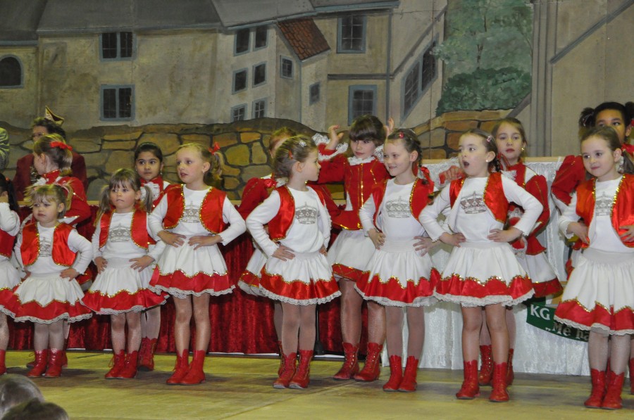 Foto Seniorenkarneval 2014