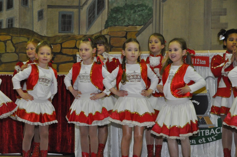 Foto Seniorenkarneval 2014